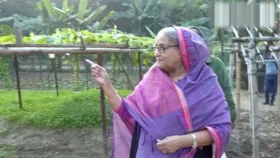 কৃষক লীগ নেতাদের গণভবনের শাক-সবজি উপহার দিলেন প্রধানমন্ত্রী