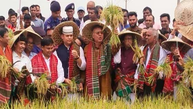 কৃষকদের সঙ্গে ধান কাটলেন কৃষিমন্ত্রী