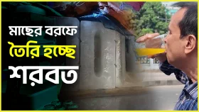 মাছের বরফে তৈরি হচ্ছে শরবত
