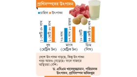 এত দুধ ডিম মাংস যায় কোথায়
