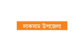 বারবার বিনা ভোটে ভাইস চেয়ারম্যান!