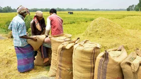 ৪৫ টাকা দরে চাল, ৩২ টাকায় ধান কিনবে সরকার