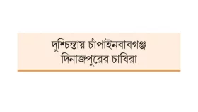 ঝরে যাচ্ছে আম লিচুর গুটি