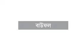 ভোটের মাঠে এমপি শঙ্কায় প্রার্থীরা