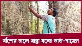 বাঁশের ফুল থেকে ভাত-পায়েস-রুটি