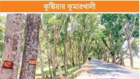 &lsquo;মৃত্যুর মুখ&rsquo; থেকে ফিরল ৩০০০ গাছ