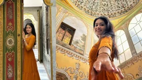 সুলতান সুলেমানের প্রাসাদে ফারিণ