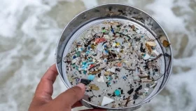 বাংলাদেশে রাস্তার ধুলোয় মাইক্রোপ্লাস্টিক, বেশি ঝুঁকিতে শিশুরা