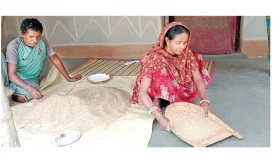 বাঁশের ফুলের চাল