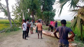 তীব্র দাবদাহের মধ্যেই গাছ কেটে সাবাড় করছে বন বিভাগ!