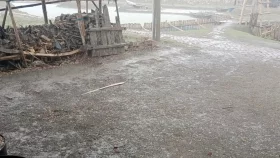 মোংলায় হালকা বৃষ্টিতে বেড়েছে গরম