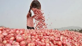 পেঁয়াজ রপ্তানি থেকে নিষেধাজ্ঞা তুলে নিল ভারত