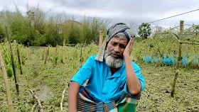 ২০ মিনিটের শিলাবৃষ্টিতে মাথায় হাত