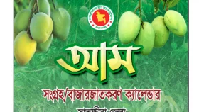 সাতক্ষীরার আম ক্যালেন্ডার, কবে কোন আম আসবে বাজারে?