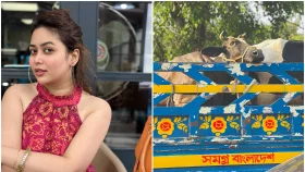 গরুর সেই ছবির ব্যাখ্যা দিলেন অভিনেত্রী ভাবনা