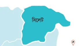 সিলেটে অন্তঃসত্ত্বা স্ত্রীর গায়ে পেট্রোল ঢেলে আগুন, সন্তানের মৃত্যু