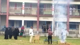 টাঙ্গাইলে ভোটকেন্দ্রে ভিমরুলের আক্রমণে আহত ২৫