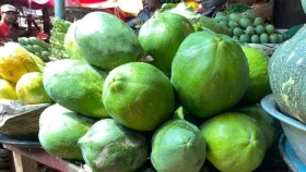 বরিশালের ২৫ টাকার পেঁপে ঢাকায় ১০০
