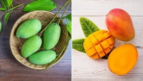 কাঁচা নাকি পাকা আম? কোনটার পুষ্টিগুণ বেশি
