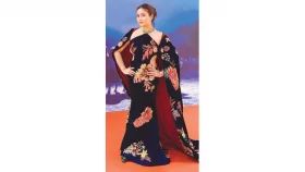 অনুপ্রেরণা নিয়ে দেশে ফিরব