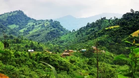 কুকি-চিনের নারী শাখার প্রধান সমন্বয়ক গ্রেপ্তার