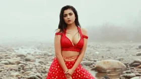 বিয়ে করছেন শাকিবের প্রিয়তমা?