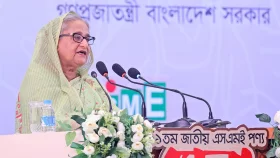 বাংলাদেশে বিশ্ব অর্থনীতির প্রভাব পড়ছে: প্রধানমন্ত্রী
