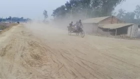ধুলাবালি থেকে বাঁচতে চান?