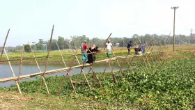 হাজারও মানুষের চলাচলের একমাত্র ভরসা বাঁশের সাঁকো
