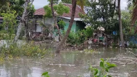 বাগেরহাটে ২ শতাধিক ঘরবাড়ি প্লাবিত