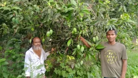 বাবা-ছেলের ফলের বাগান