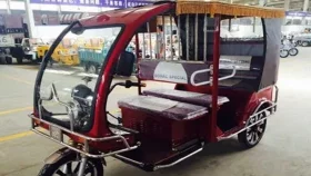 অটোরিকশা ছিনতাই করতে চালককে হত্যা