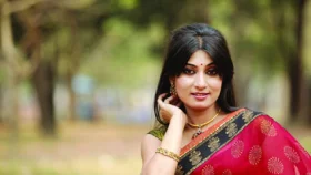 স্ট্রোক করে হাসপাতালে অভিনেত্রী সীমানা