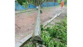 রিমালের তাণ্ডবে বাগেরহাটে বিদ্যুৎহীন পাঁচ লাখ গ্রাহক