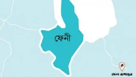 &lsquo;গুলি করতে দেখেছি&rsquo; বলে টমটম চালককে কুপিয়ে হত্যা