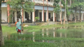 ব্যালটে সিল মারার অভিযোগে ৪ সহকারী প্রিসাইডিং অফিসারকে অব্যাহতি