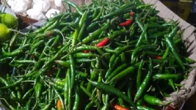 ৯৬ টাকা দরে ভারত থেকে এলো ৫৯৩ টন কাঁচা মরিচ