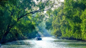সুন্দরবনে প্রবেশে তিন মাসের নিষেধাজ্ঞা