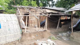 ঝড়ে গাছচাপায় নারীর মৃত্যু, খবর শুনে আরেক নারীর মৃত্যু