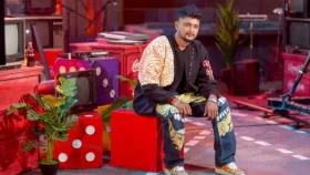 হালাল-হারাম বিতর্কে এবার বাদ্যযন্ত্র ছাড়ার ঘোষণা আলী হাসানের