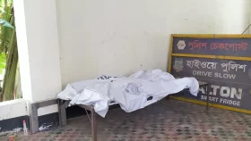মানিকগঞ্জে কাভার্ডভ্যান-অটোরিকশা সংঘর্ষে নিহত ২
