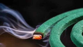 কয়েলের আগুনে ১৮ গরু-ছাগল পুড়ে ছাই