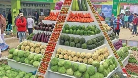 জাতীয় ফলমেলা শুরু বৃহস্পতিবার
