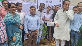 ২৪ হাজার গাছ লাগানোর উদ্যোগ ৩১তম বিসিএস ক্যাডার অ্যাসোসিয়েশনের&nbsp;