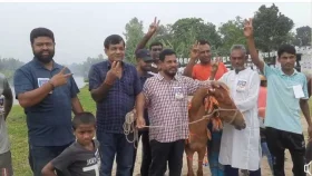 জীবন্ত ঘোড়া দেখিয়ে ভোট প্রার্থনা