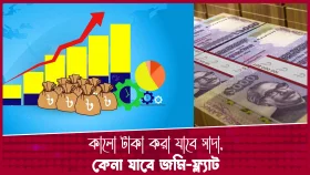 এবারও থাকছে কালো টাকা সাদা করার সুযোগ, কেনা যাবে জমি-ফ্লাটও