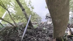 ছেলেকে বাঁচাতে গিয়ে প্রাণ গেল মায়েরও
