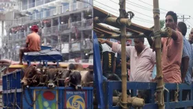 ঢাকায় গরু নিয়ে ঢুকছে ট্রাক, বের হচ্ছে মানুষ নিয়ে
