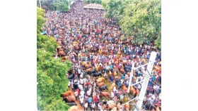 মাঝারি গরুতেই আগ্রহ বেশি