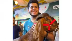 রাজস্ব কর্মকর্তার ছেলের অর্ধকোটির কোরবানি